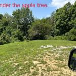 Williams Campground