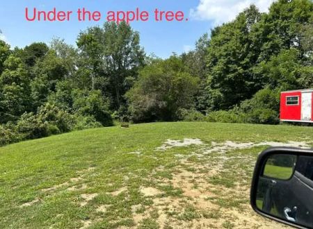 Williams Campground
