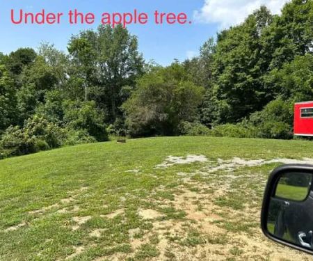 Williams Campground