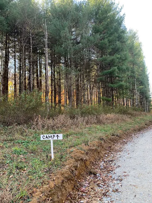 Dry Creek Pines Picture 5