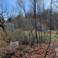 Dry Creek Pines ico