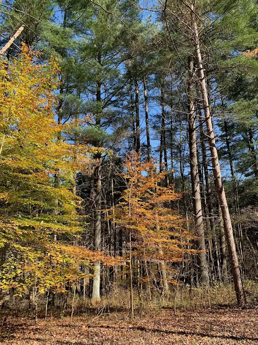 Dry Creek Pines Picture 4