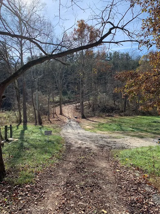 Dry Creek Pines Picture 6