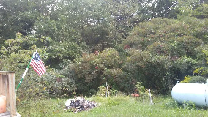 Vinton Furnace State Forest Hunters Camp Picture 7