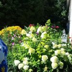 Manufactured Housing Specialists