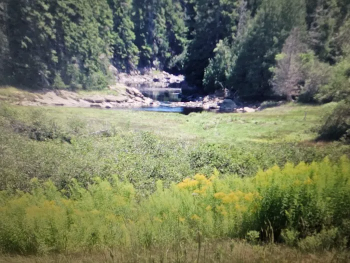 Henry Cove RV Park Picture 6