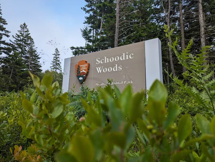 Schoodic Woods Campground Picture 7