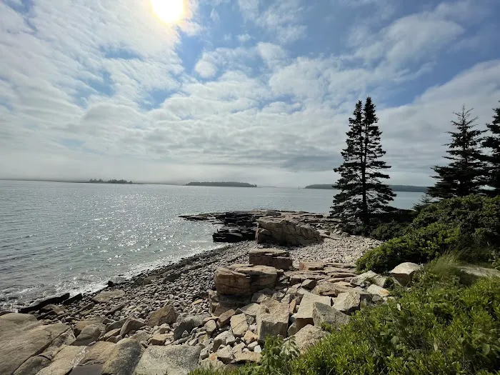 Schoodic Woods Campground Picture 2