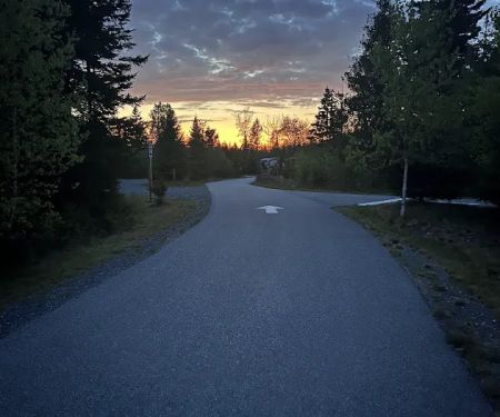 Schoodic Woods Campground