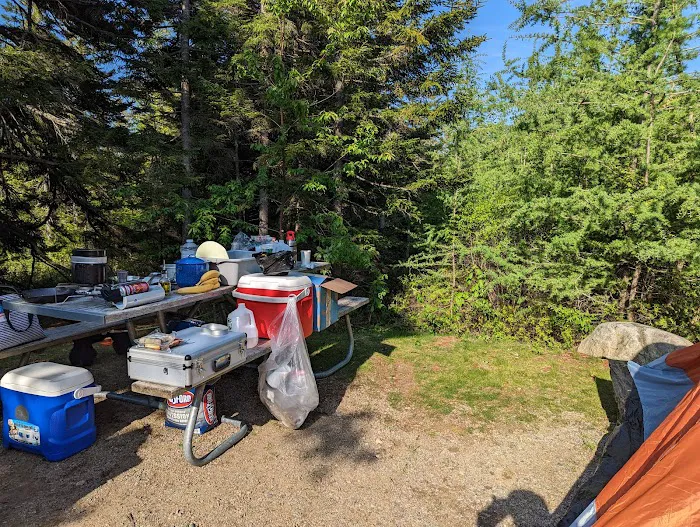 Schoodic Woods Campground Picture 10