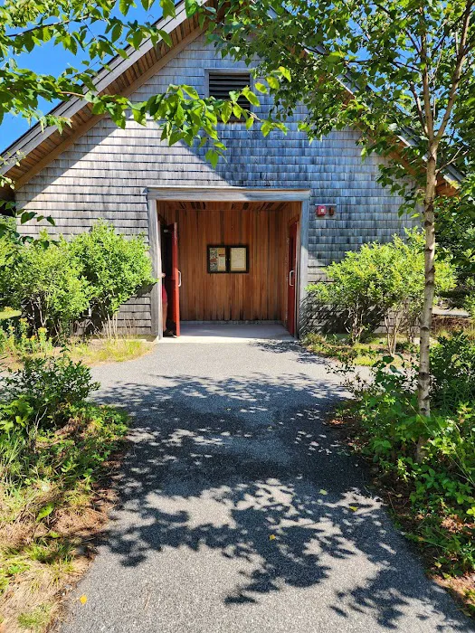Schoodic Woods Campground Picture 6