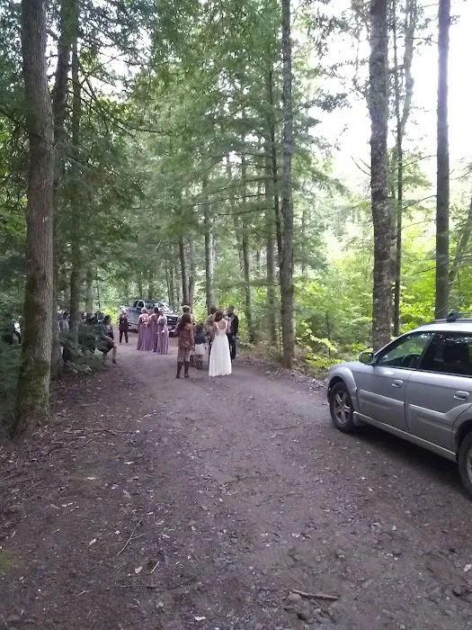 Mattawamkeag Wilderness Park Campground Picture 4