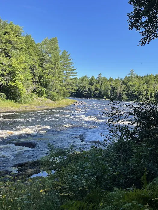 Mattawamkeag Wilderness Park Campground Picture 5