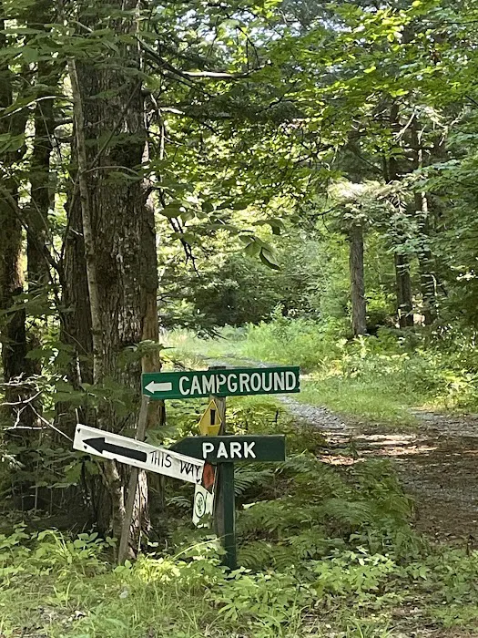 Mattawamkeag Wilderness Park Campground Picture 10