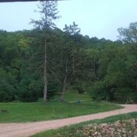 Pineview ico
