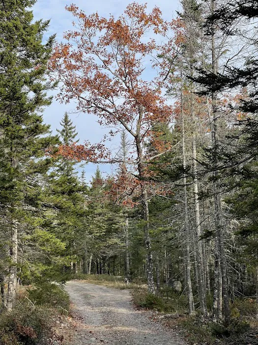 Balsam Hill Cabins Picture 7