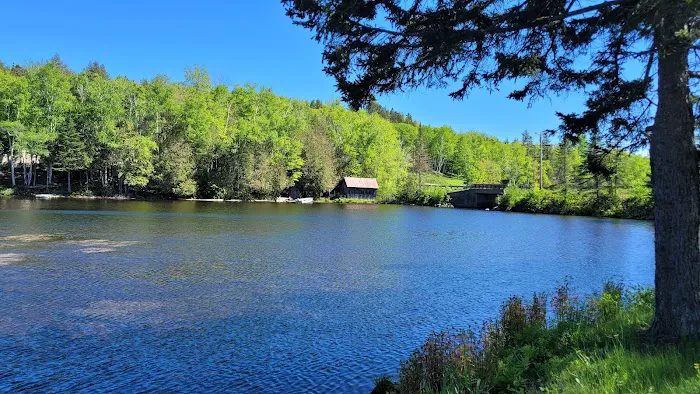 Shin Pond Village Campground Picture 5
