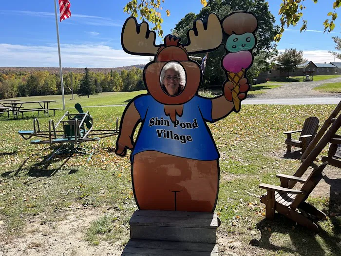 Shin Pond Village Campground Picture 7
