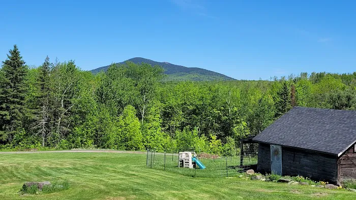 Shin Pond Village Campground Picture 2