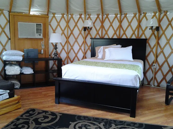Shelby / Mansfield KOA Resort Picture 9