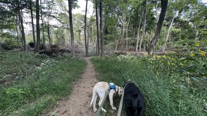Malabar Farm State Park Campground Picture 6