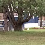 Camelot Terrace Manufactured Home Community