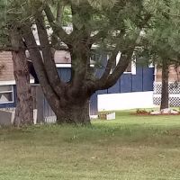 Camelot Terrace Manufactured Home Community ico