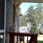 Pinewood Court Inc