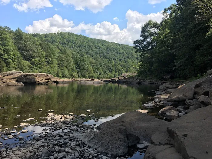 Gauley Tailwaters Campground Picture 4