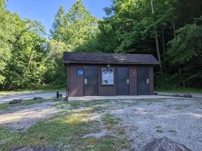 Gauley Tailwaters Campground Picture 1