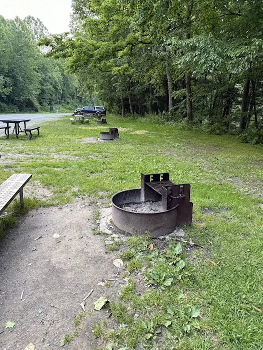 Gauley Tailwaters Campground Picture 6
