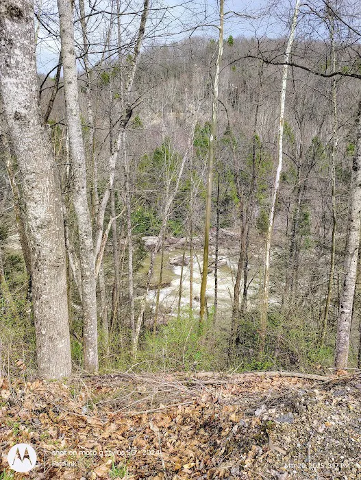 Gauley Tailwaters Campground Picture 5