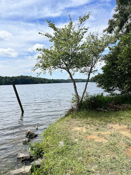 Lake Reidsville Park Picture 1