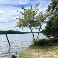 Lake Reidsville Park ico