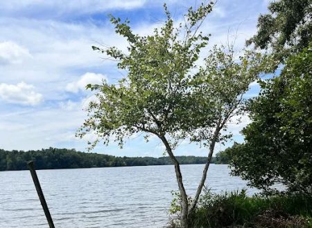 Lake Reidsville Park