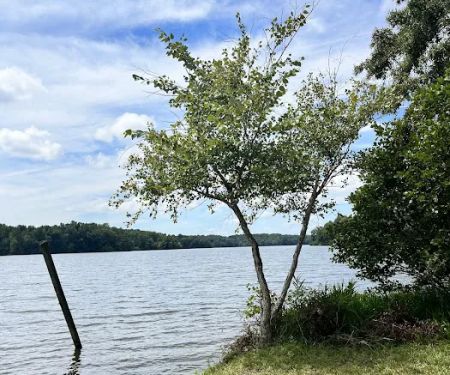 Lake Reidsville Park
