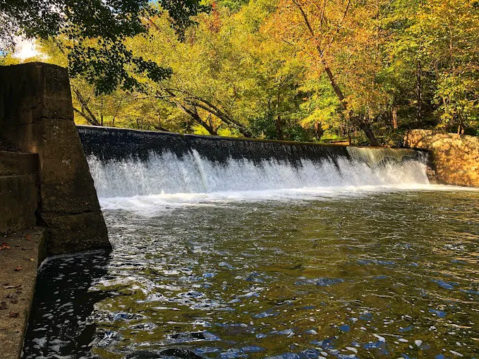 Jessup Mill Picture 9