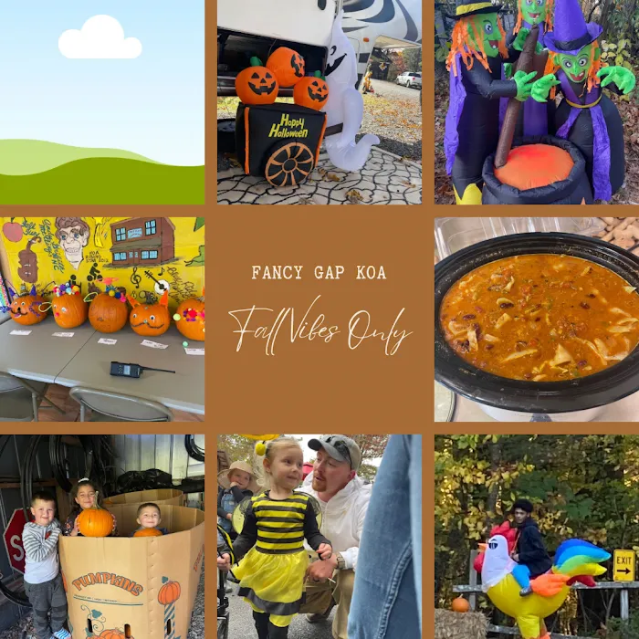Fancy Gap / Blue Ridge Parkway KOA Journey Picture 10