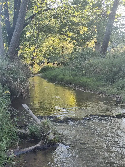 Iron Peak Ranch Picture 6