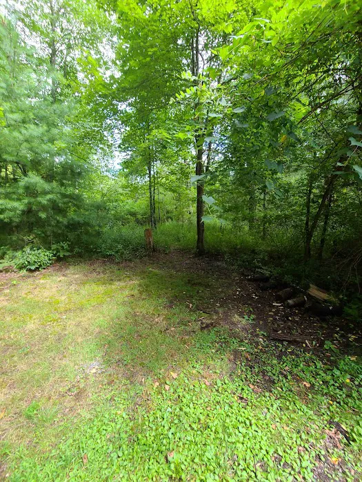 Stony Fork Campground Picture 7