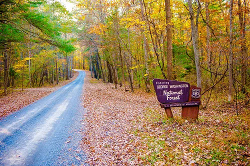Stony Fork Campground Picture 6