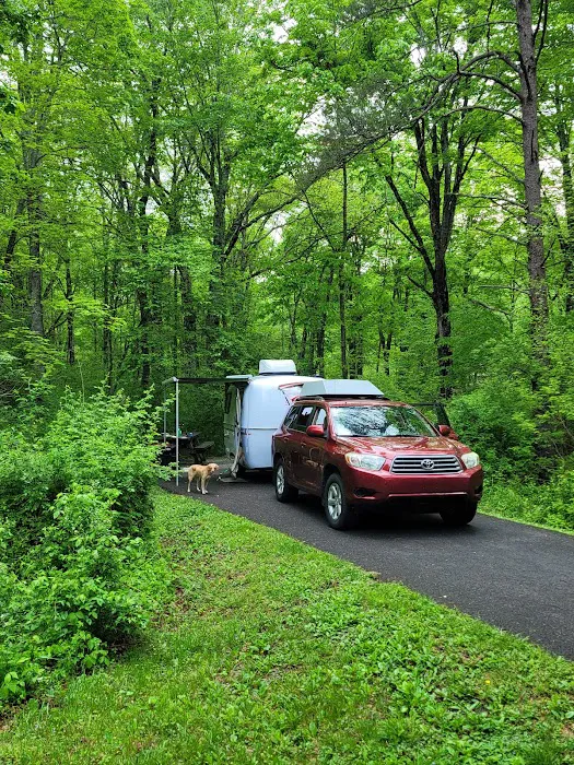 Stony Fork Campground Picture 5