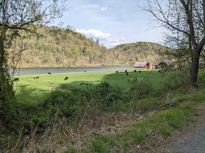 Double Shoals Campground Picture 3