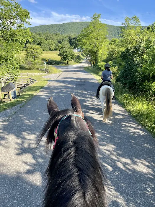 Iron Mountain Horse Camp Picture 3