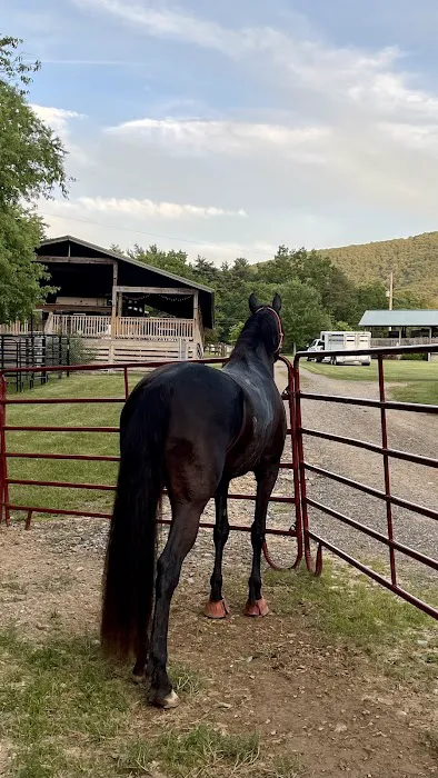 Iron Mountain Horse Camp Picture 9