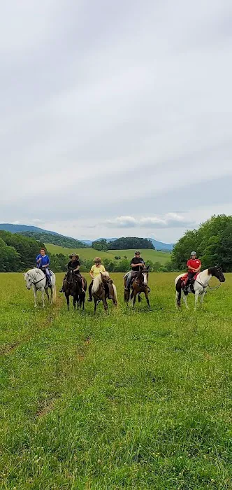 Iron Mountain Horse Camp Picture 7