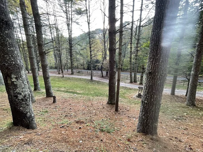 Chestnut Creek Cabins Picture 6