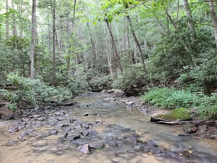 Wagon Wheel ATV Resort and Campground Picture 4