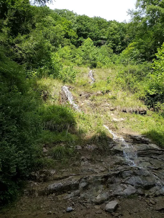 Pinnacle Creek ATV Campground Picture 8