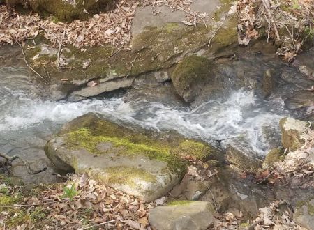 Beech Bottom Camping Area